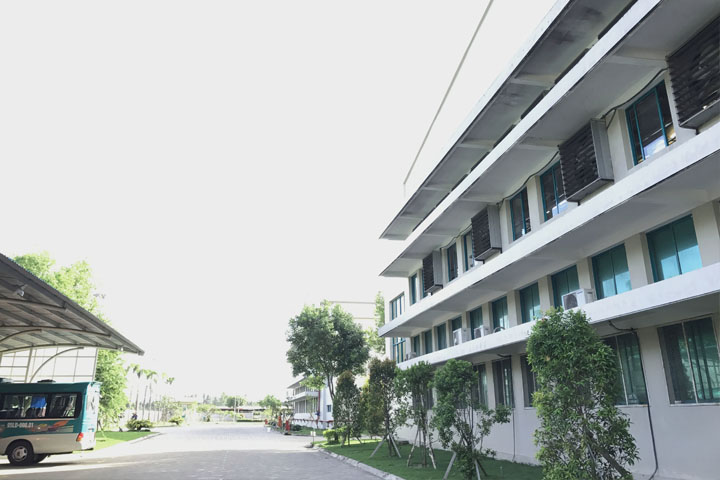 Ảnh 4